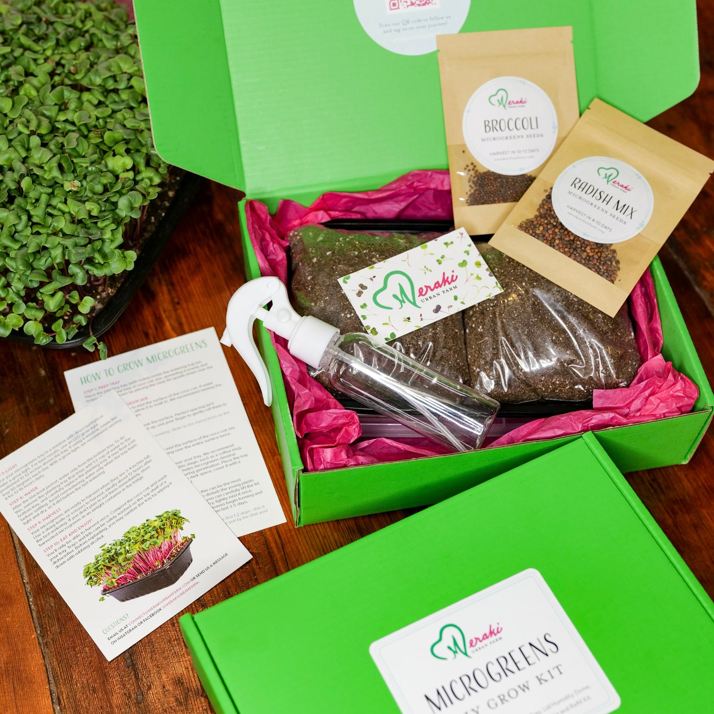 Microgreens DIY Grow Kit