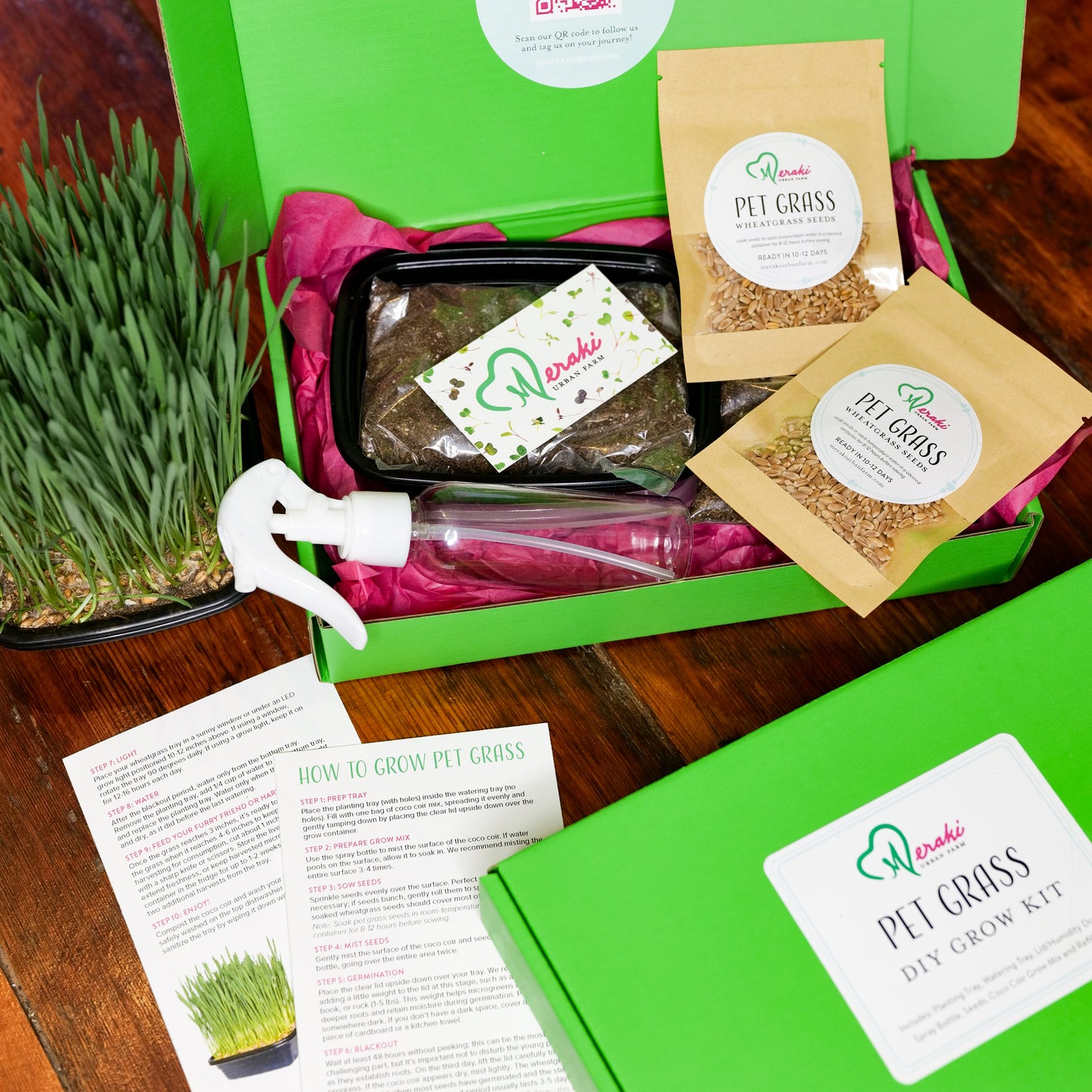 Pet Grass DIY Grow Kit