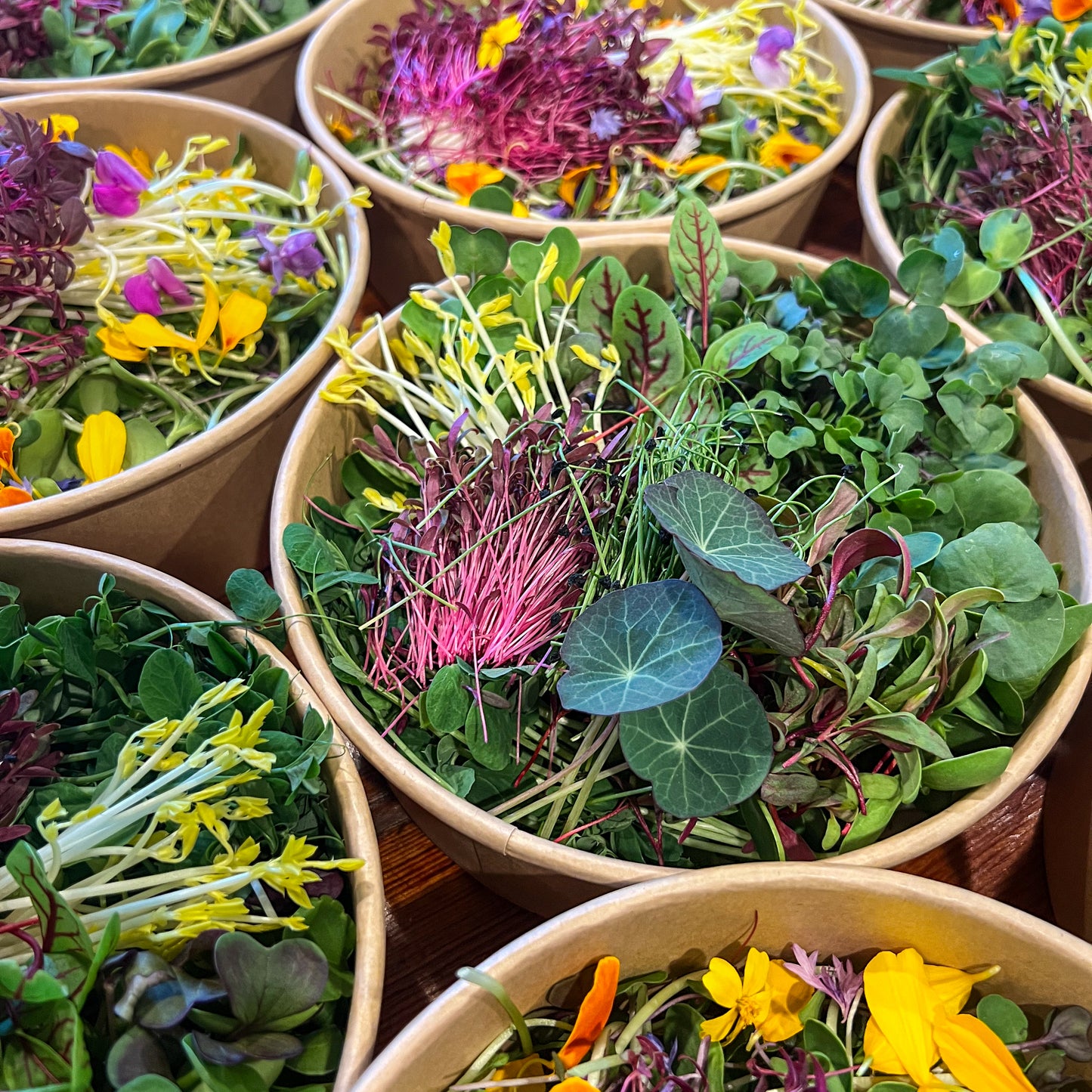 Salad Bowls