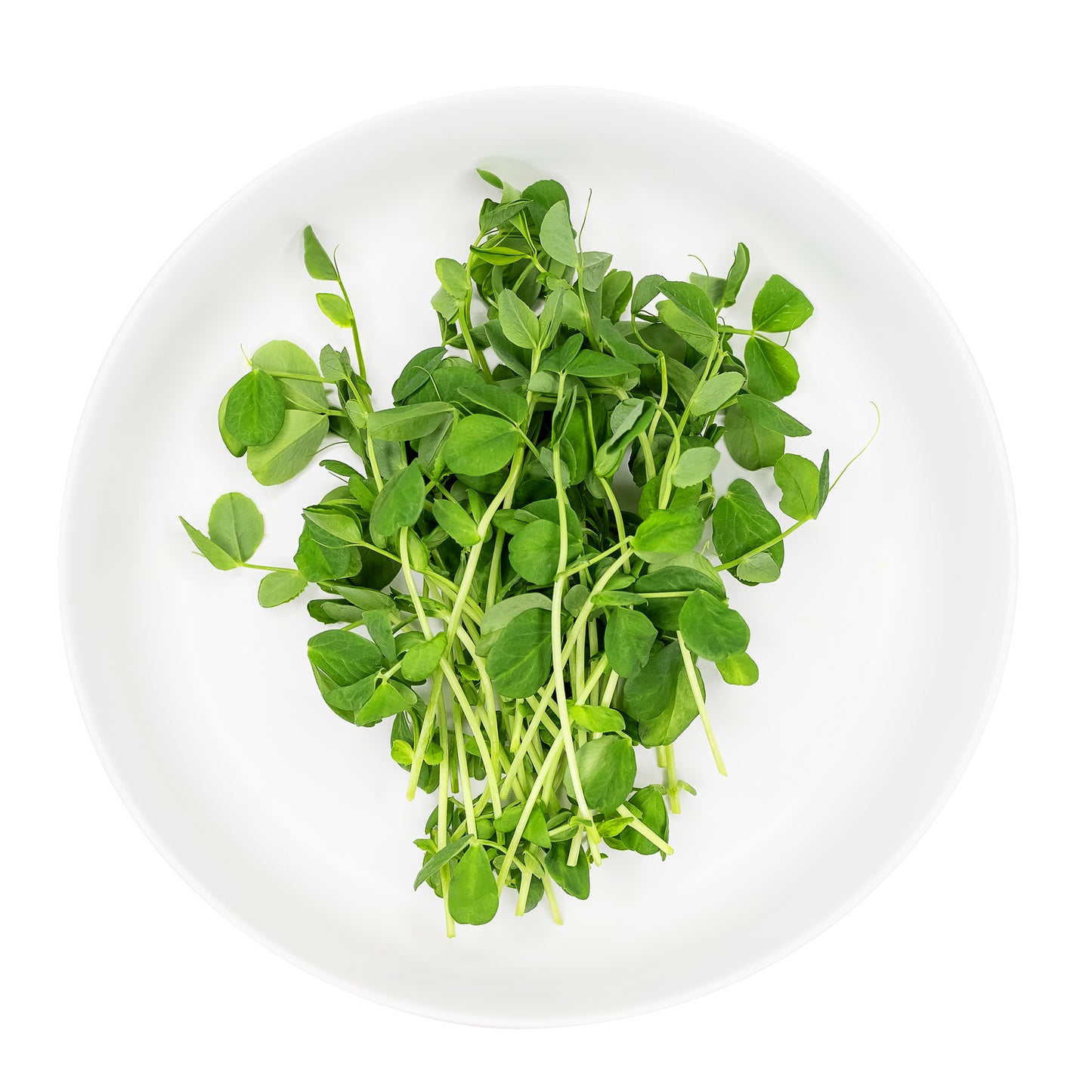 Pea Shoots