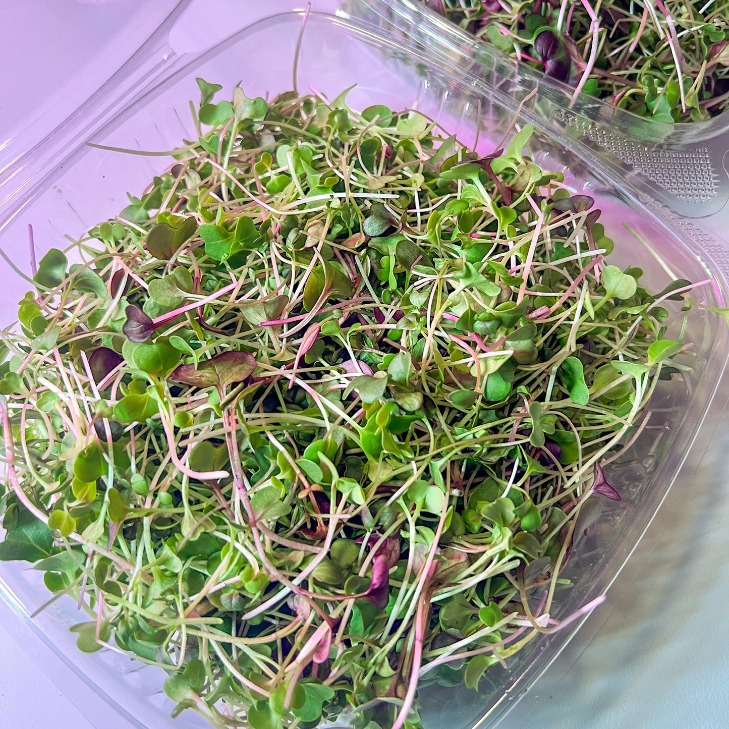Spicy Micro Mix